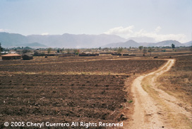 The rural land below San Andrés Xecul is a rich agricultural area, surrounded by stunning mountains.  Photo by Cheryl Guerrero 2005.