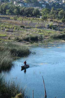 Agricultural plots stretch to the edge of Santiago Atitlán, where wooden boats ply the reeds.  Photo by Denise Gallinetti 2005.